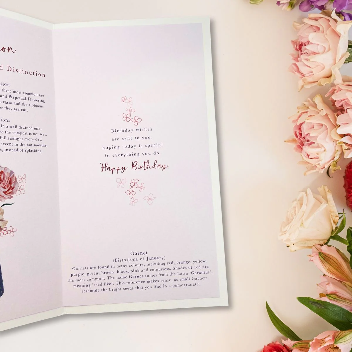 January Birthday Card - Month You Were Born Carnation - Image 3